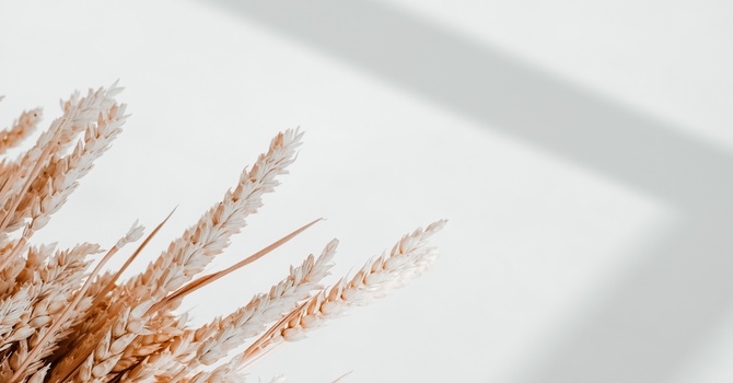 Virtual Physiotherapy